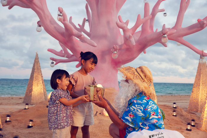 珊瑚形狀的樹出現在Resonale Kohama島的海灘