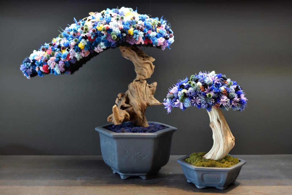 色鮮やかなドライフラワーが織りなす一点物の盆栽アート『HANA BONSAI
